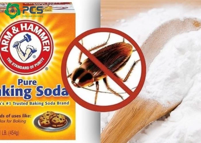 Diệt gián nhà bếp bằng baking soda